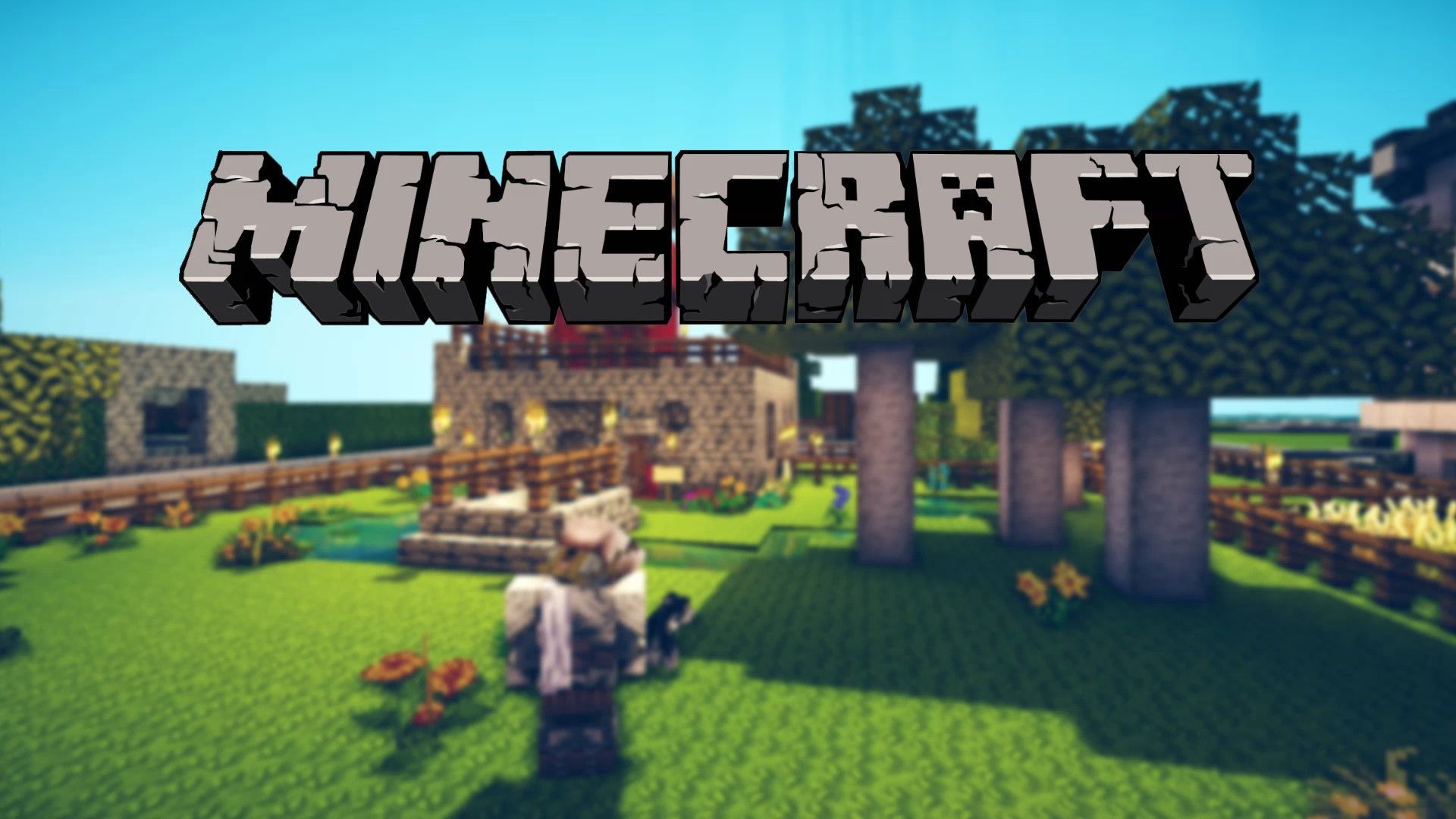 Minecraft PREMIUM (Скин меняется)